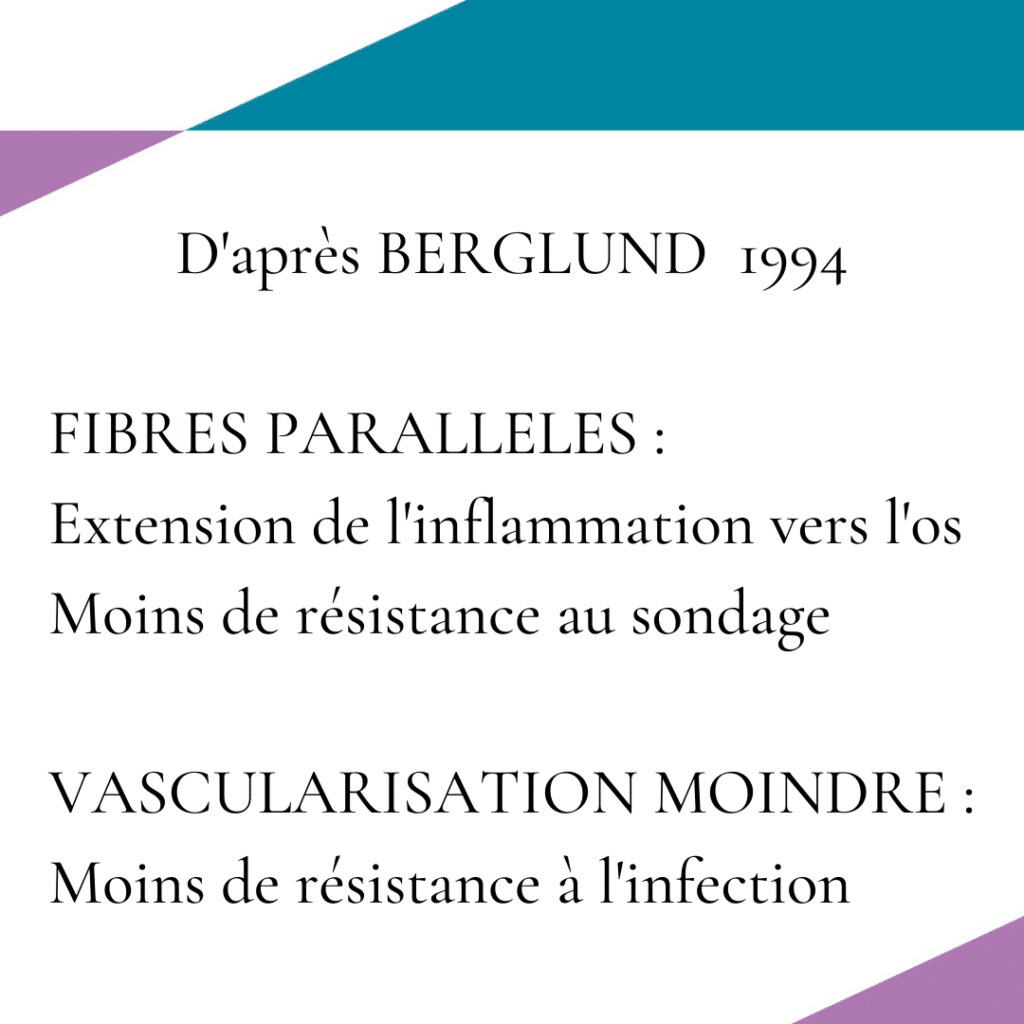 D'après Berglund 1994