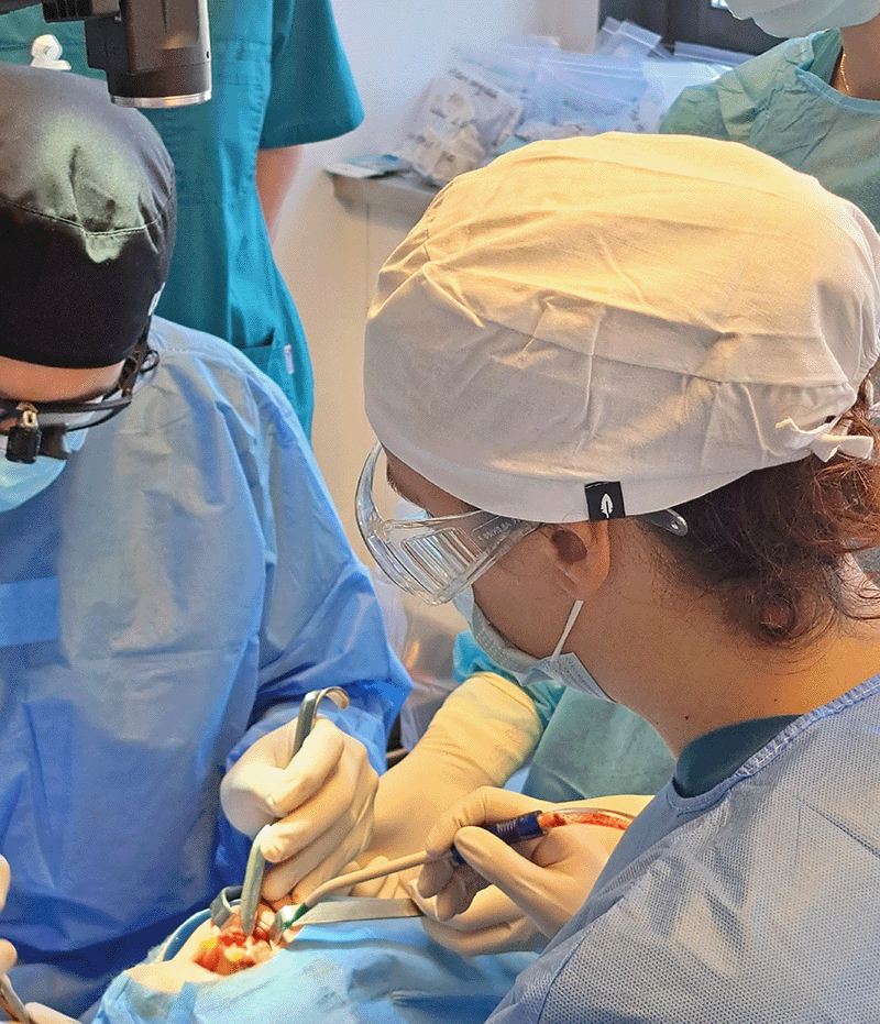 Formation e-learning assistante dentaire en implantologie