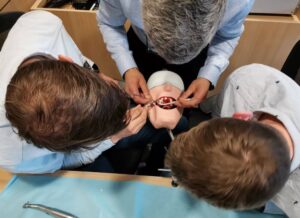 Travaux pratiques formation implantologie